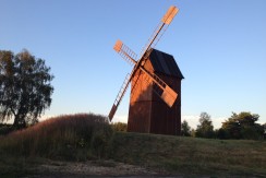 IMG_0005