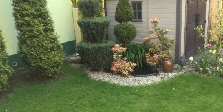 f1479_virgo_ds_CAR-DS-80_4