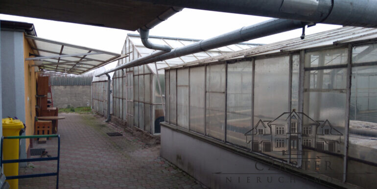 IMG_20201213_134422