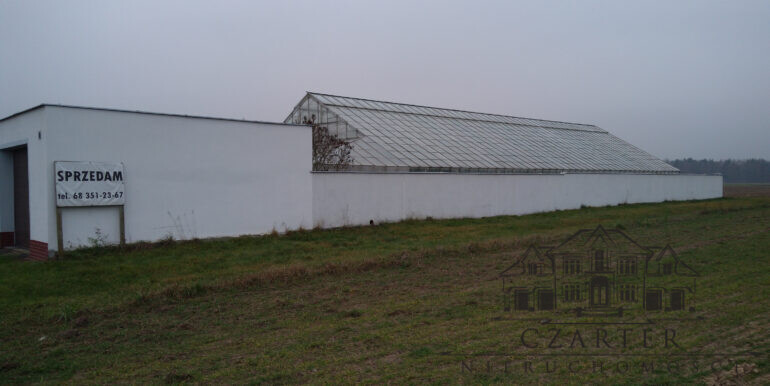 IMG_20201213_135819