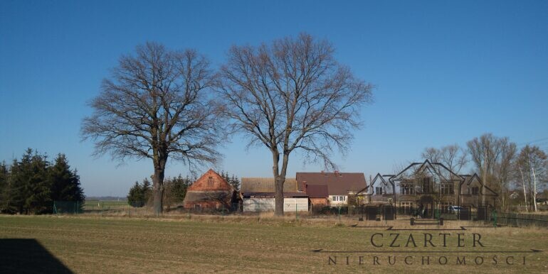 IMG_20210303_125622